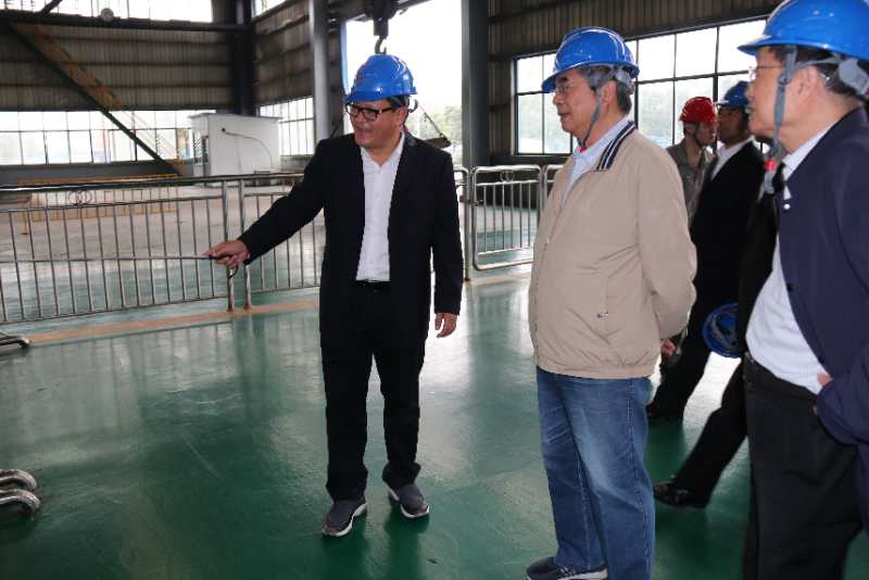 中国科学院原副院长杨柏龄、曹春晓院士一行莅临我司调研指导